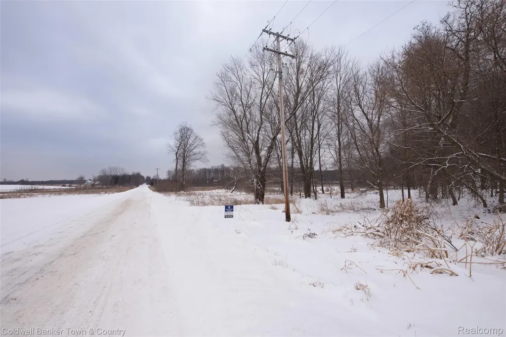 Vl Spears Unadilla Township MI 48137
