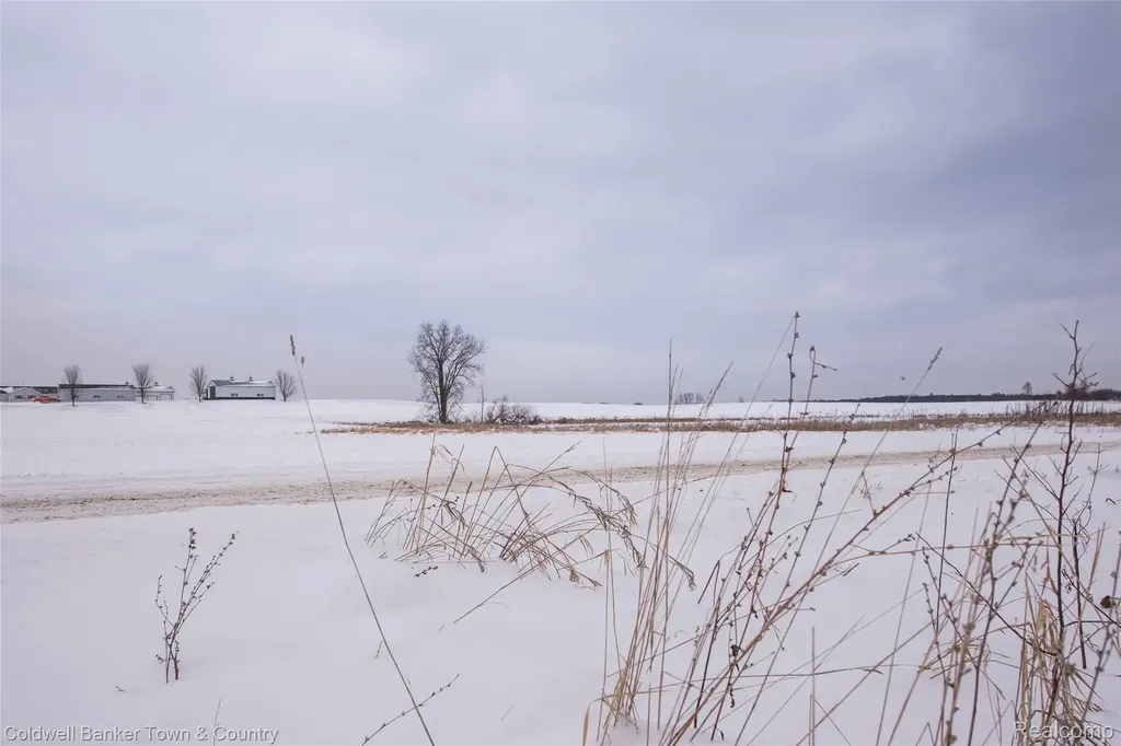 Vl Spears Unadilla Township MI 48137