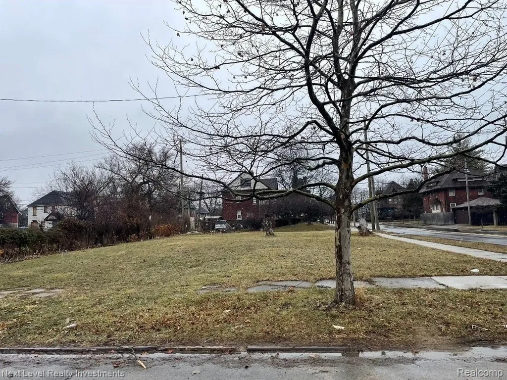 1000 Baldwin Street Detroit City MI 48214