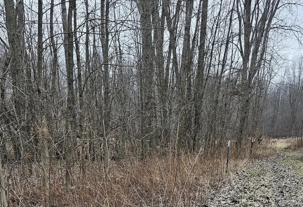 000 Chase Lake Road Conway Township MI 48836