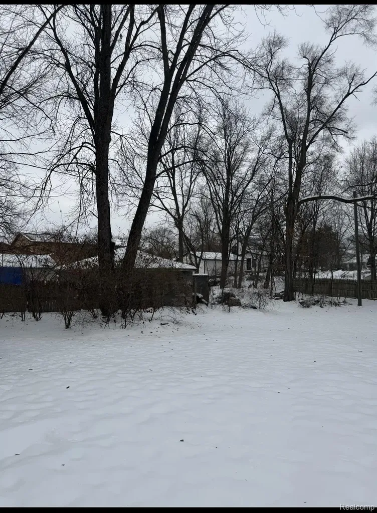 220 Pearl Street Pinckney Village MI 48169