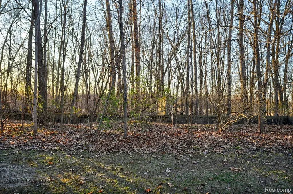 Vl Pineview Lake Drive Argentine Township MI 48451