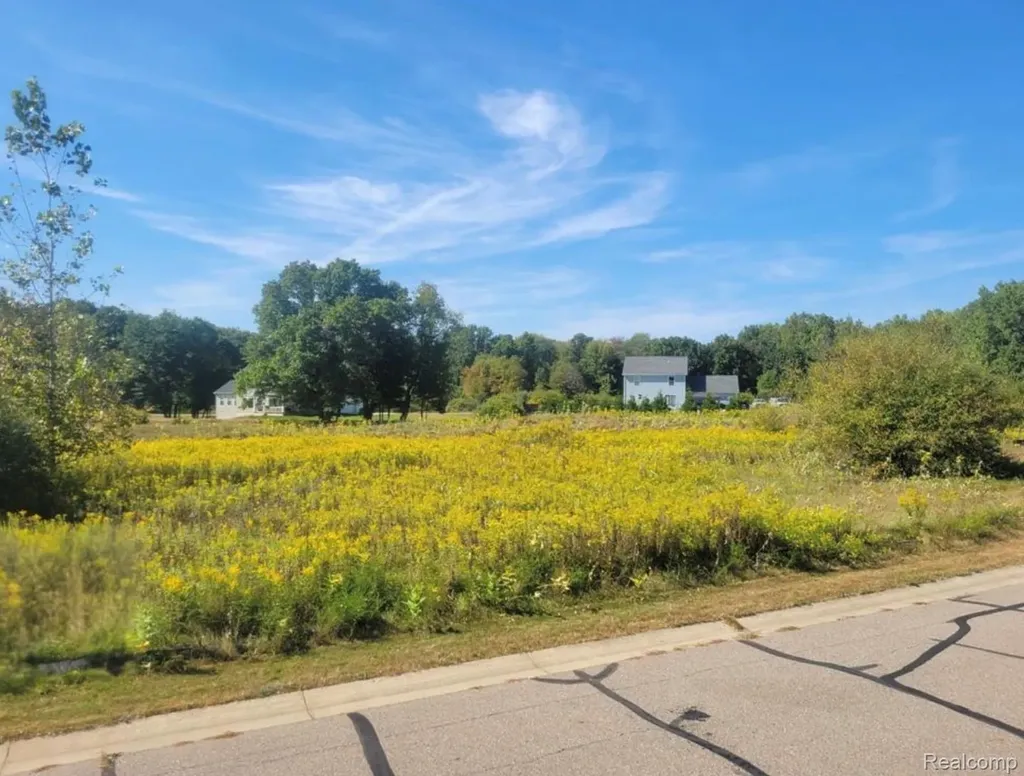 3681 Outback Trail Putnam Township MI 48169