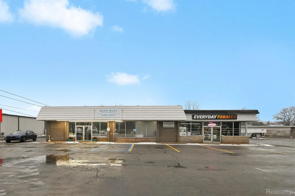 306 S Cedar Street Mason City MI 48854