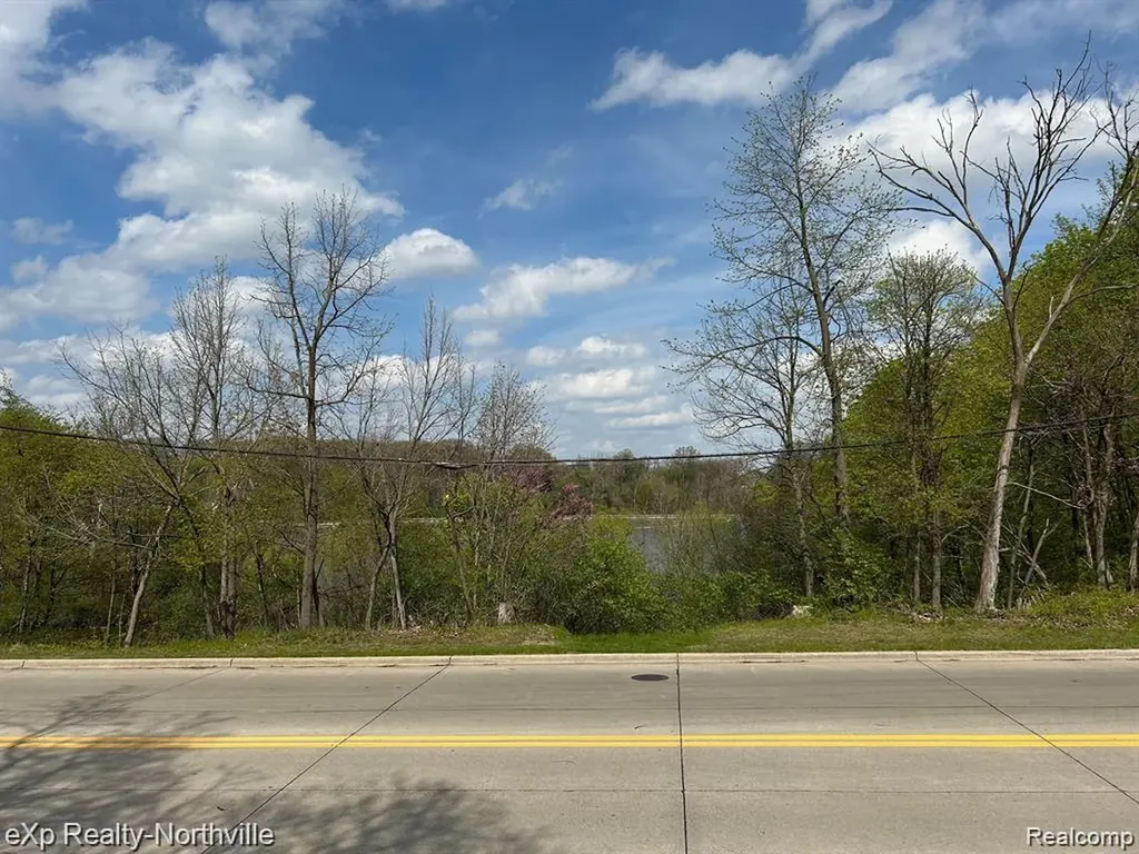 1103 N Mill Street Plymouth City MI 48170