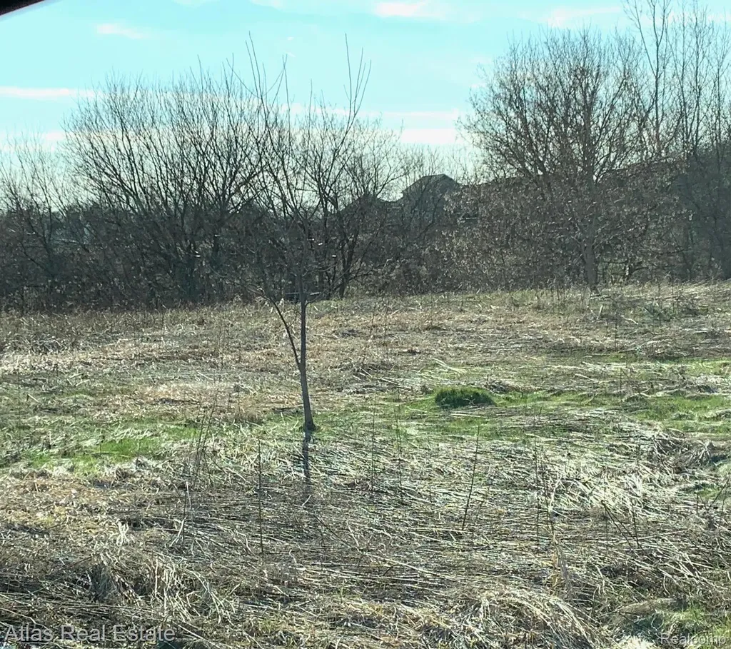 0 N State Road Richfield Township MI 48423