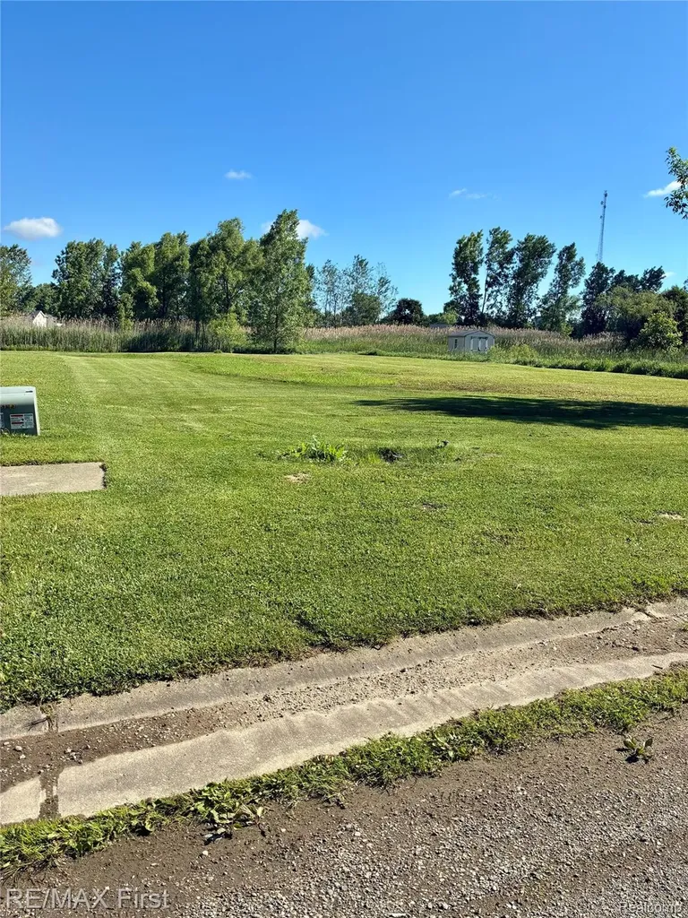 39 Deer Park Capac Village MI 48014