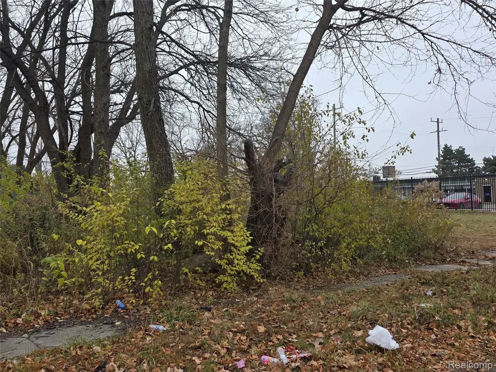 17163 Hawthorne Street Detroit City MI 48203
