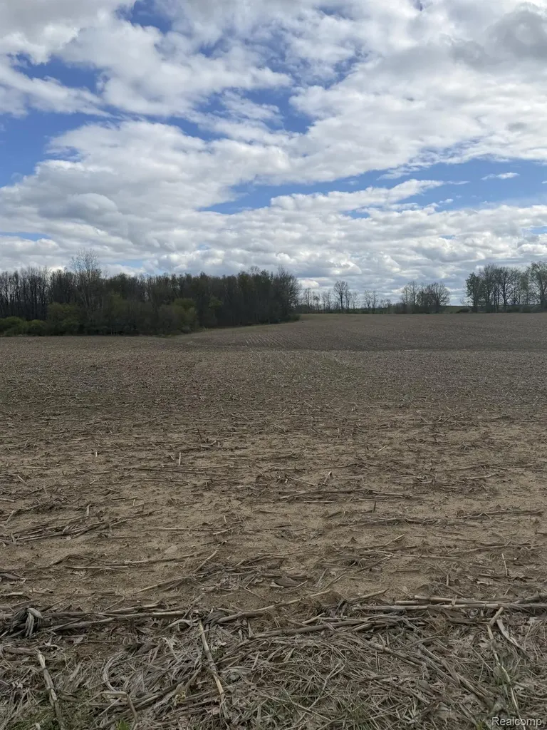 00 Thom Road Oregon Township MI 48721