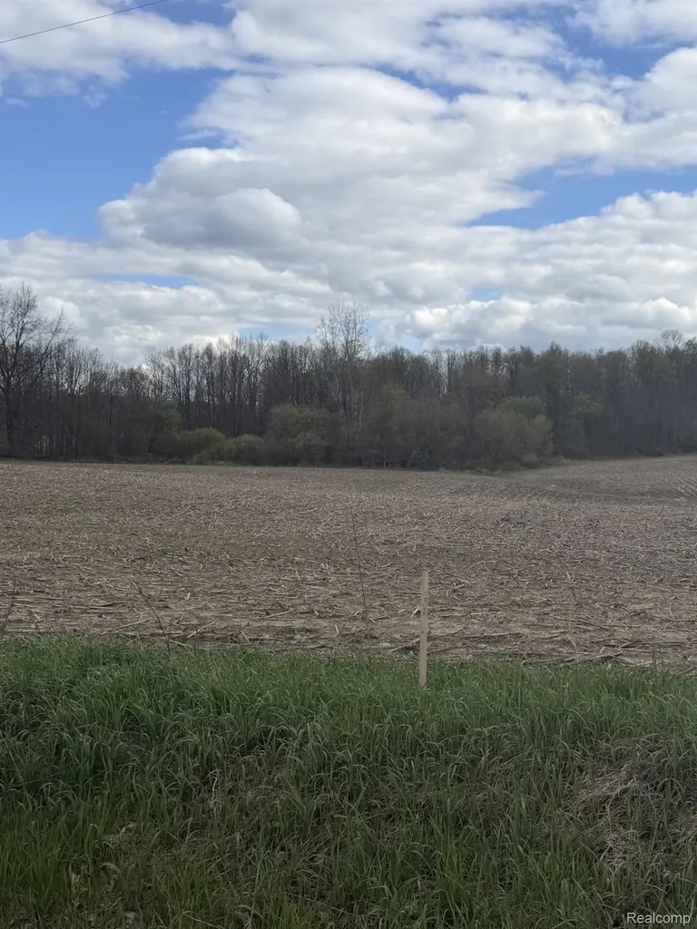 00 Thom Road Oregon Township MI 48721