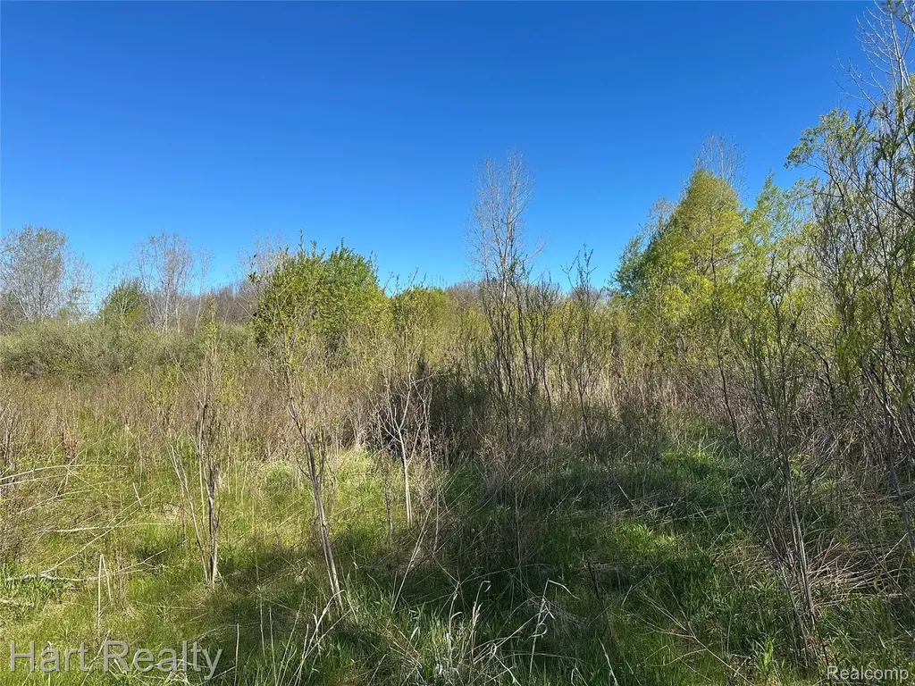 13 Single Tree Circle Dryden Township MI 48428