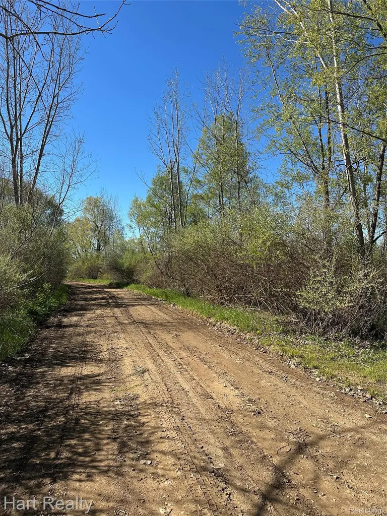 13 Single Tree Circle Dryden Township MI 48428