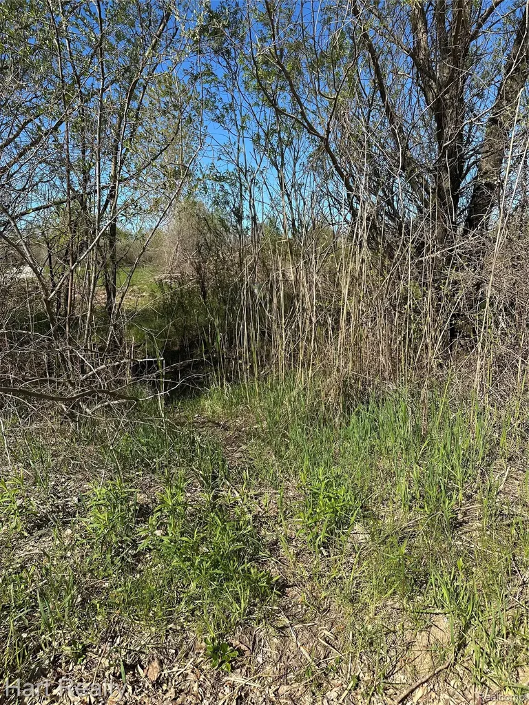 13 Single Tree Circle Dryden Township MI 48428