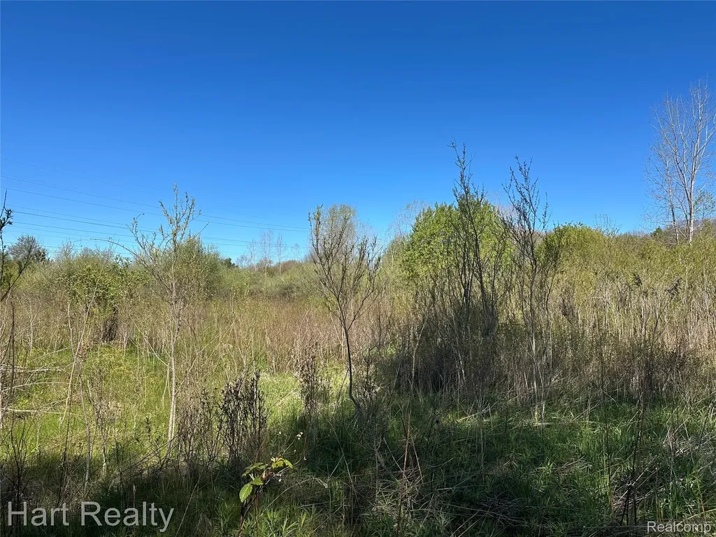 13 Single Tree Circle Dryden Township MI 48428
