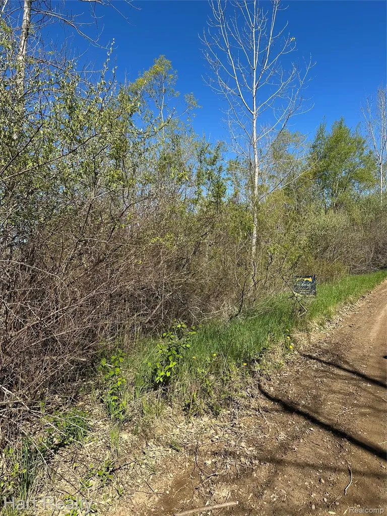 13 Single Tree Circle Dryden Township MI 48428