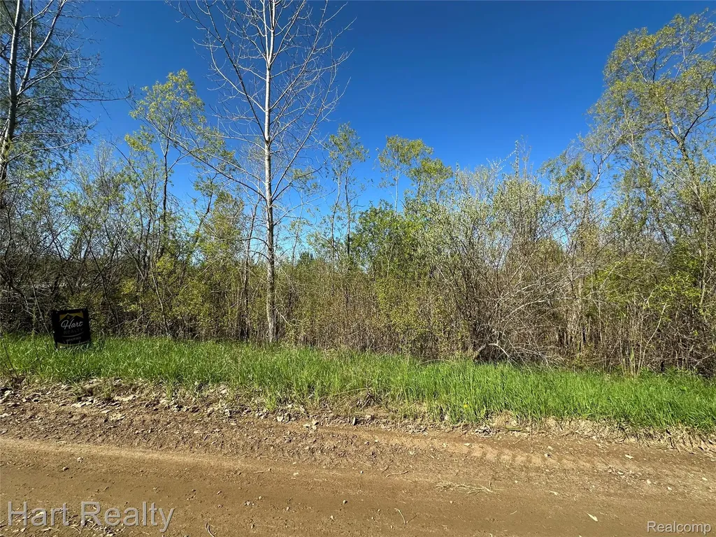13 Single Tree Circle Dryden Township MI 48428