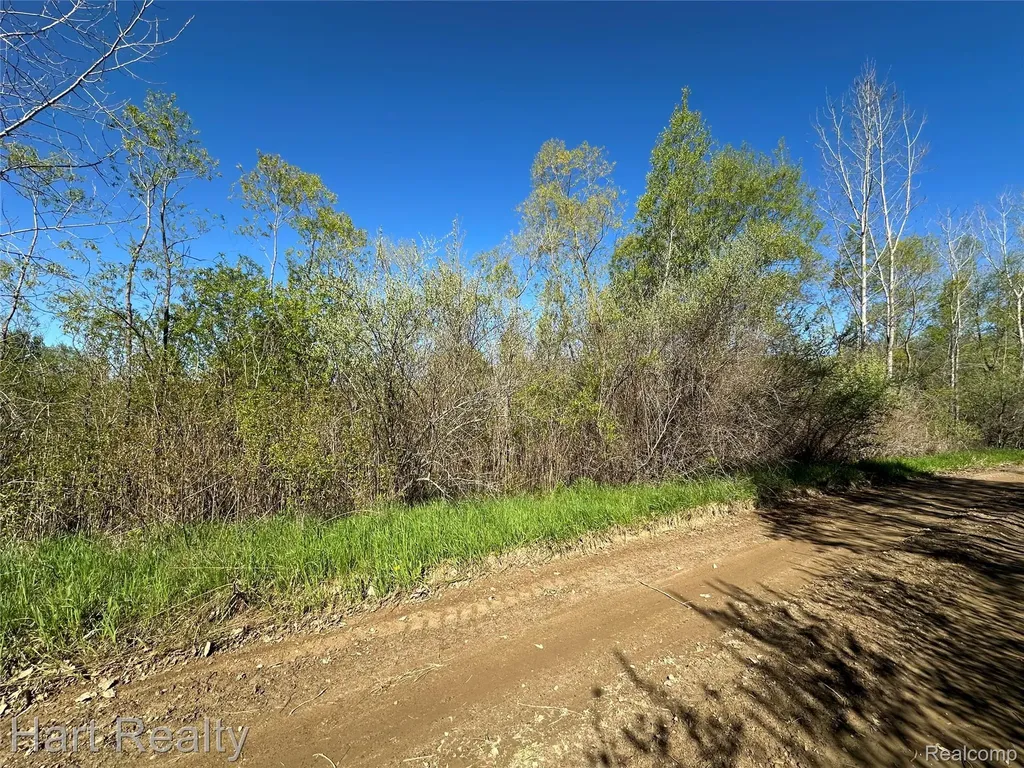 13 Single Tree Circle Dryden Township MI 48428