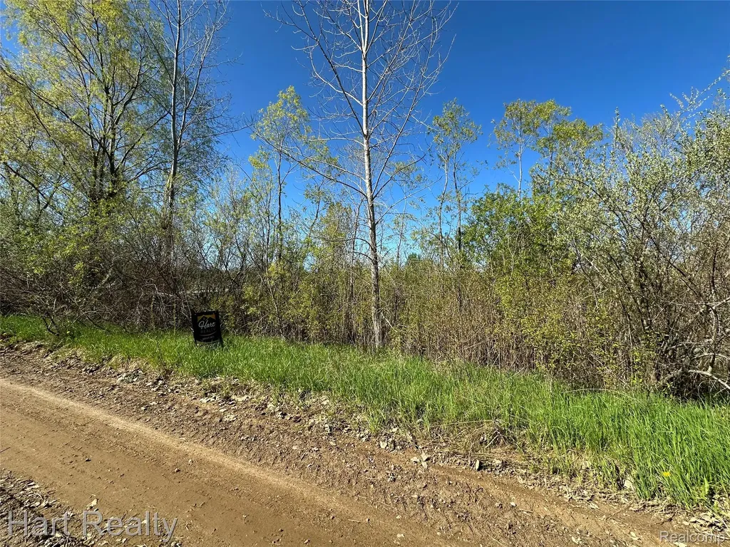 13 Single Tree Circle Dryden Township MI 48428
