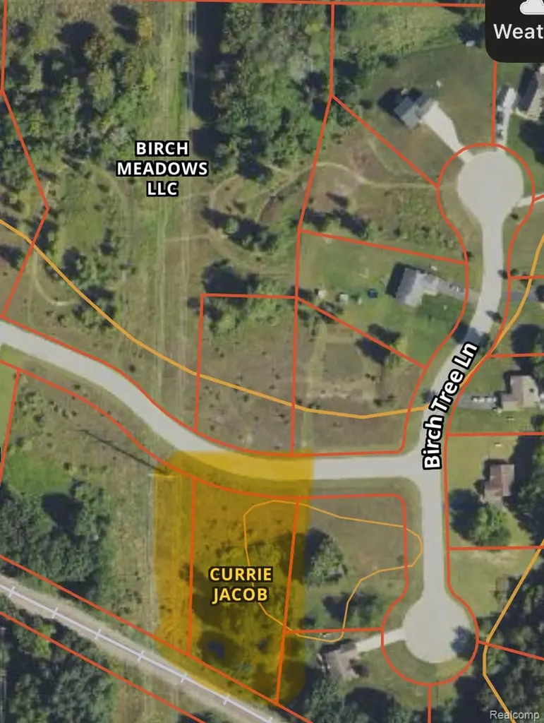 0000 Birch Meadows Lane Handy Township MI 48836