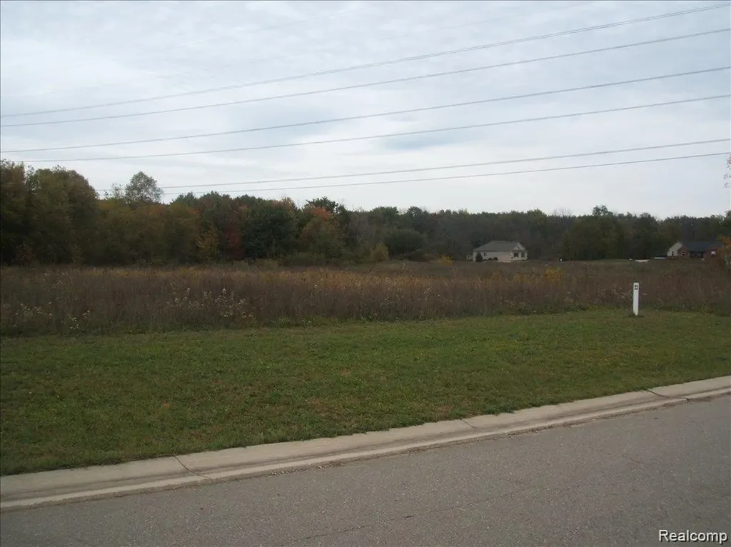 0000 Birch Meadows Lane Handy Township MI 48836