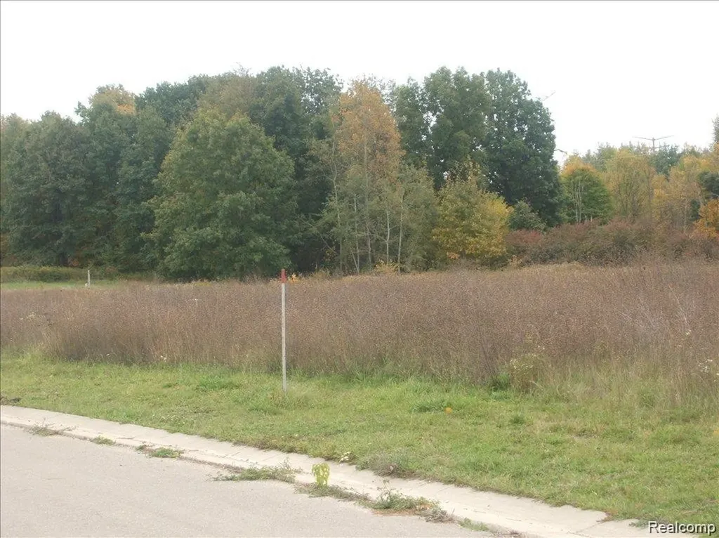 0000 Birch Meadows Lane Handy Township MI 48836