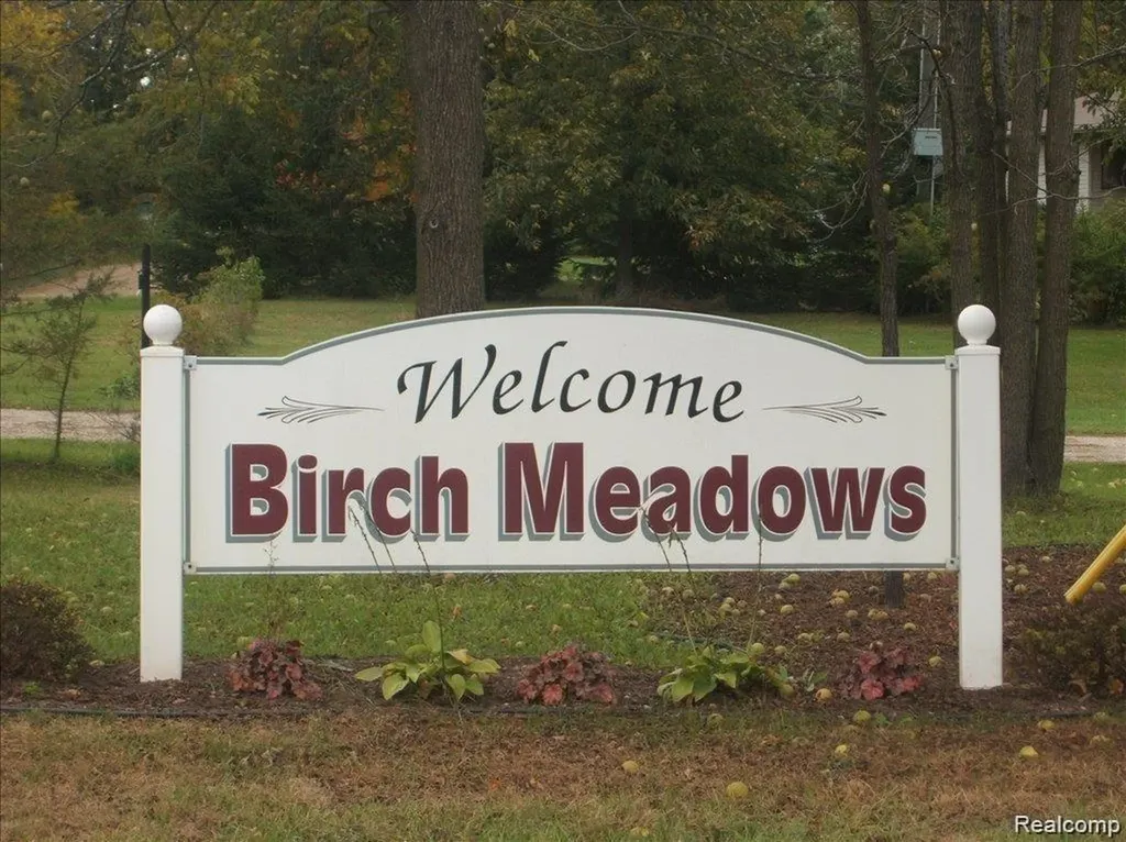 0000 Birch Meadows Lane Handy Township MI 48836