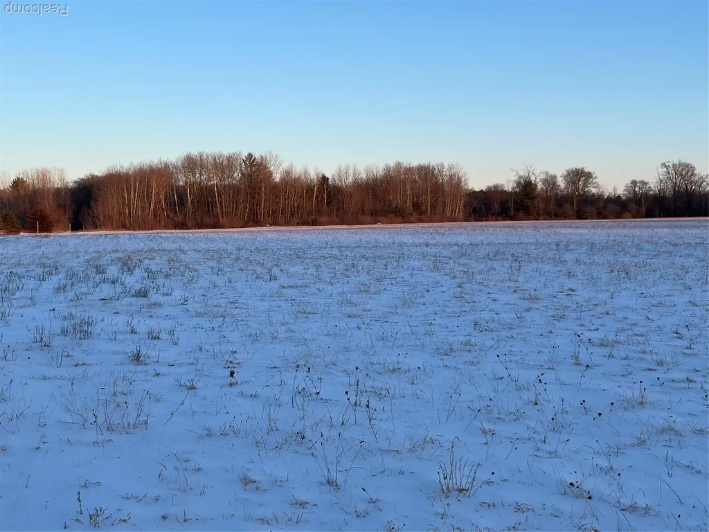 3000 S Genuine Road Chippewa Township MI 48858