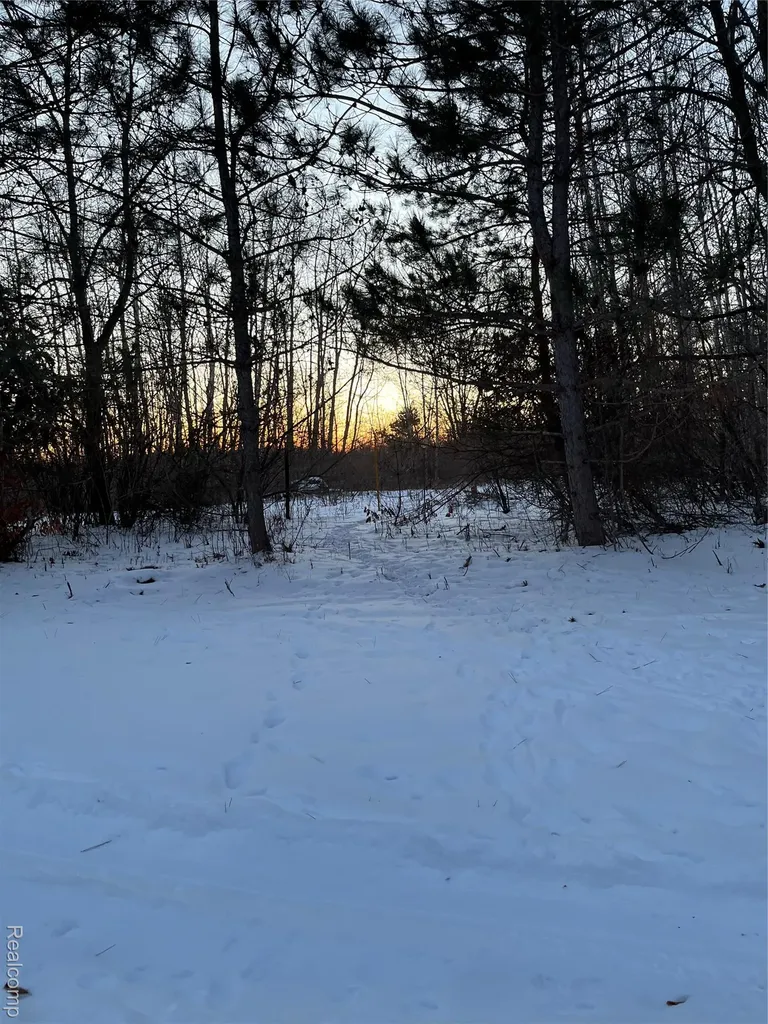 3000 S Genuine Road Chippewa Township MI 48858