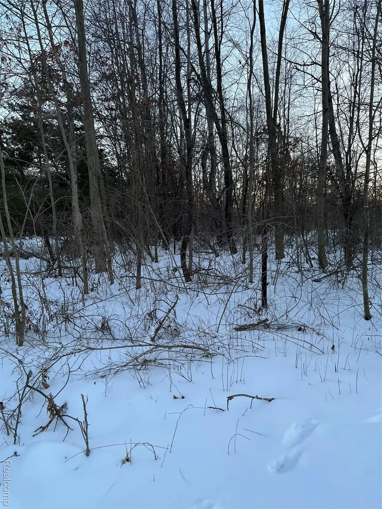 3000 S Genuine Road Chippewa Township MI 48858