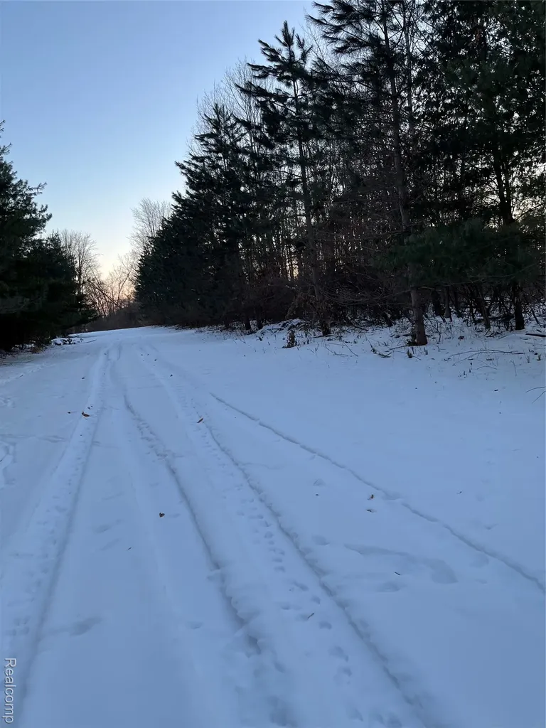 3000 S Genuine Road Chippewa Township MI 48858