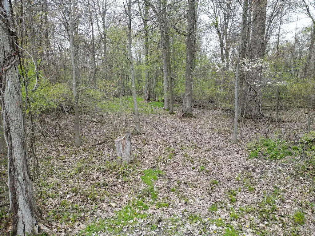 197 N Cotter Road Hampton Charter Township MI 48732