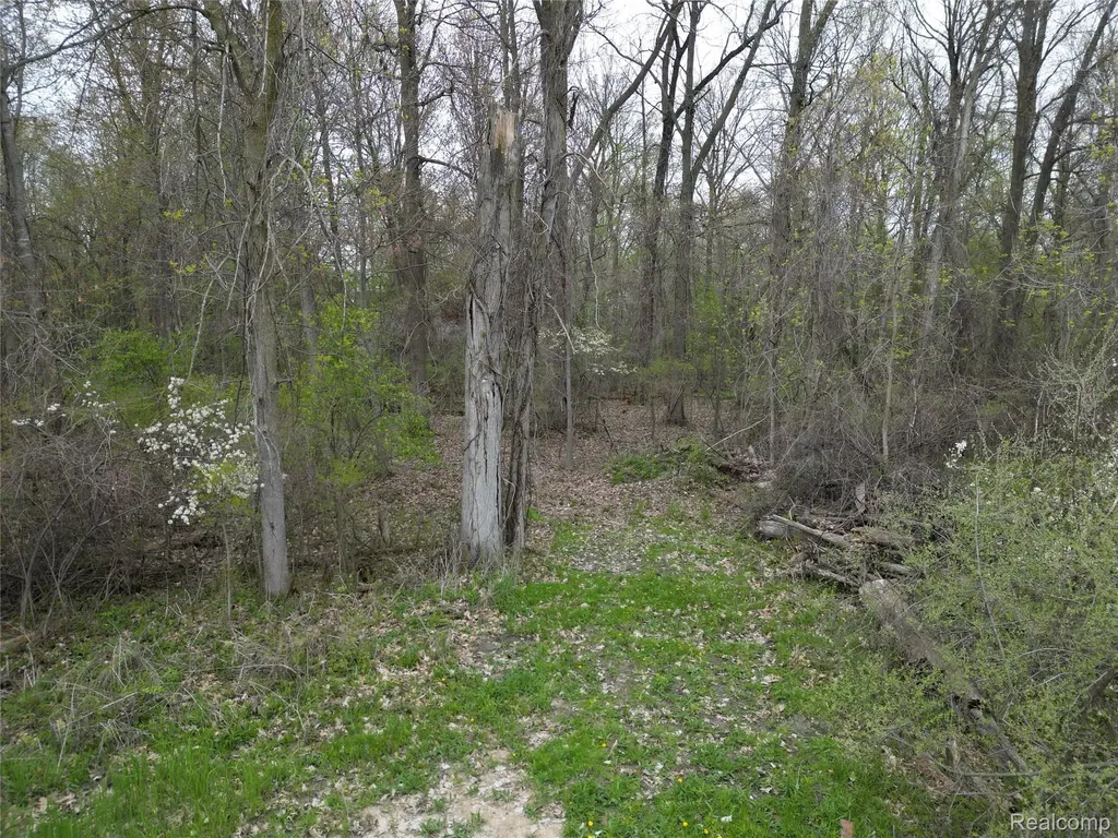 197 N Cotter Road Hampton Charter Township MI 48732