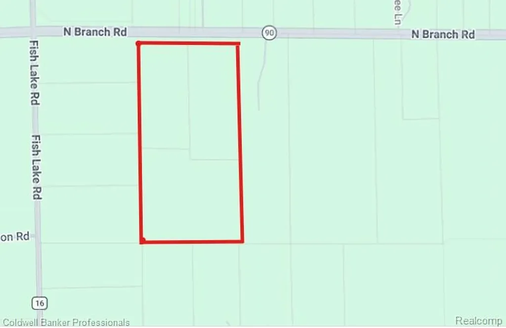 Ville N Branch Road Deerfield Township MI 48461
