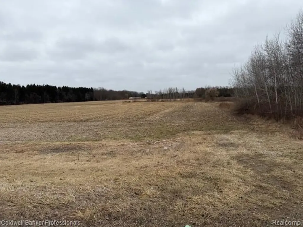 Ville N Branch Road Deerfield Township MI 48461