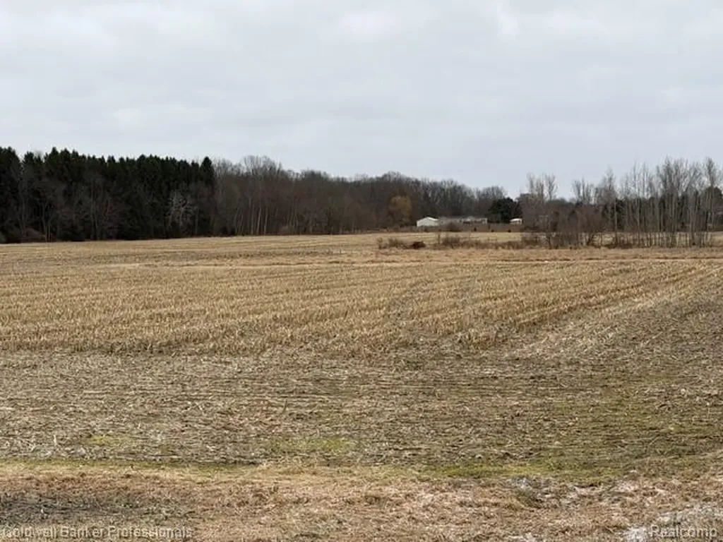 Ville N Branch Road Deerfield Township MI 48461
