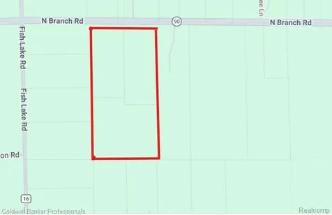 VL N Branch Road Deerfield Township MI 48461