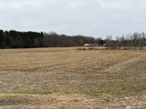 VL N Branch Road Deerfield Township MI 48461