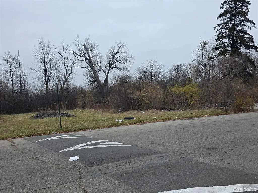 19628 Danbury Street Detroit City MI 48203
