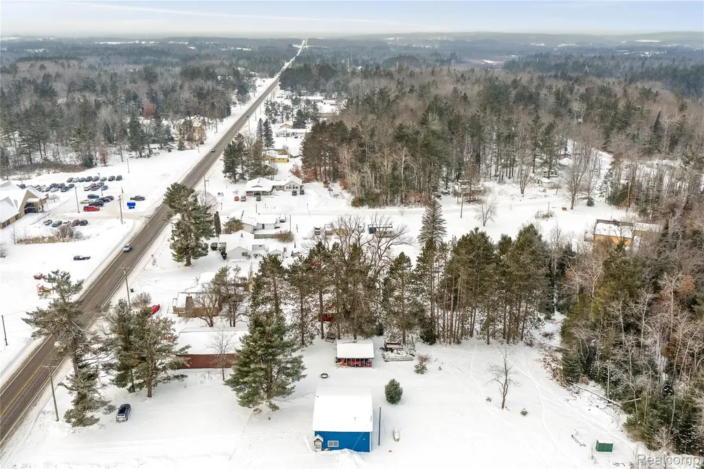 12000 M-32 Briley Township MI 49709