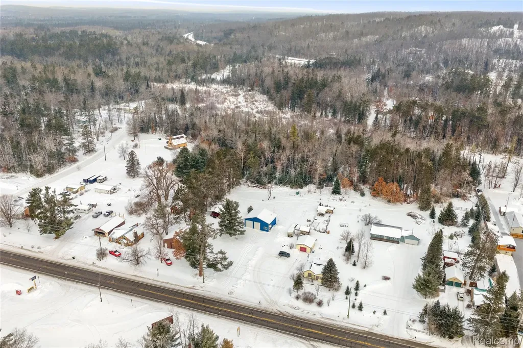 12000 M-32 Briley Township MI 49709