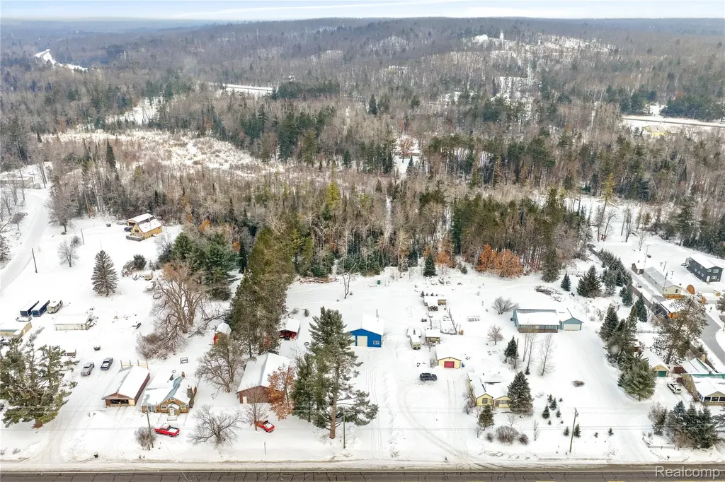 12000 M-32 Briley Township MI 49709