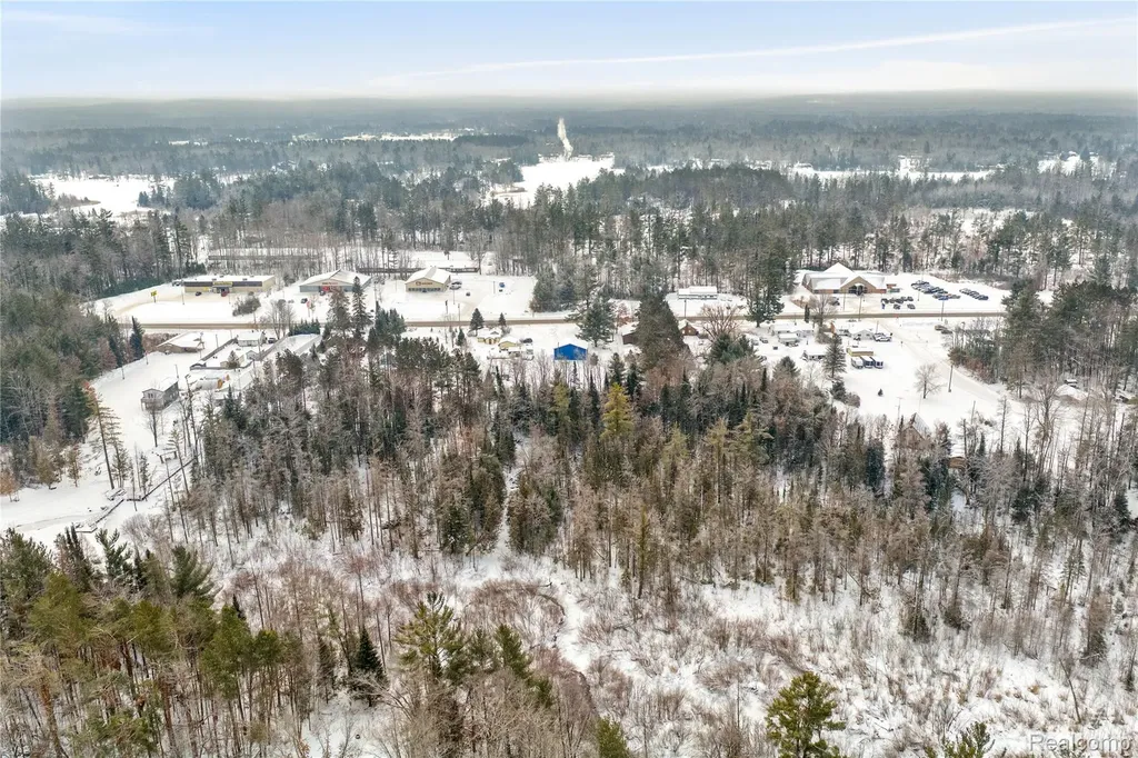 12000 M-32 Briley Township MI 49709