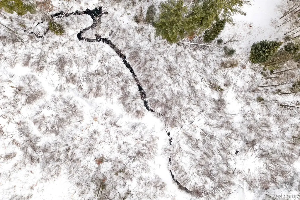 12000 M-32 Briley Township MI 49709