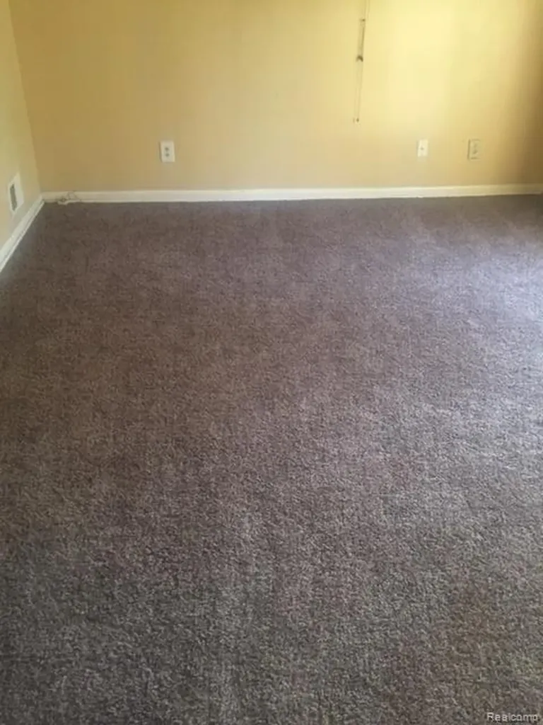 26413 Lehigh Street Inkster City MI 48141
