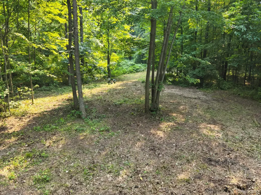 V/l Frushour Drive Rose Township MI 48442