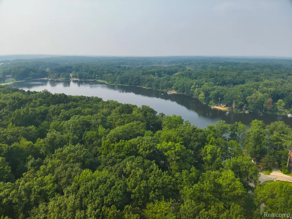 V/l Frushour Drive Rose Township MI 48442