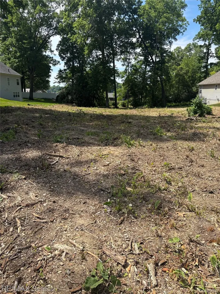 0 Kovacs Drive Argentine Township MI 48451