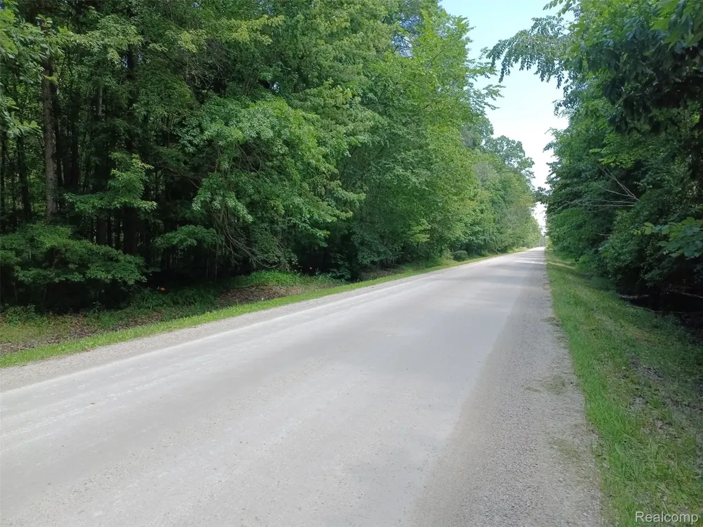 0 Lindsey Road China Township MI 48054