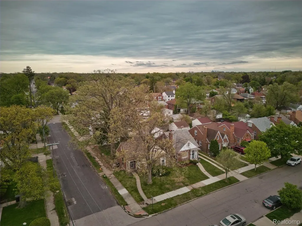 18718 Snowden Street Detroit City MI 48235