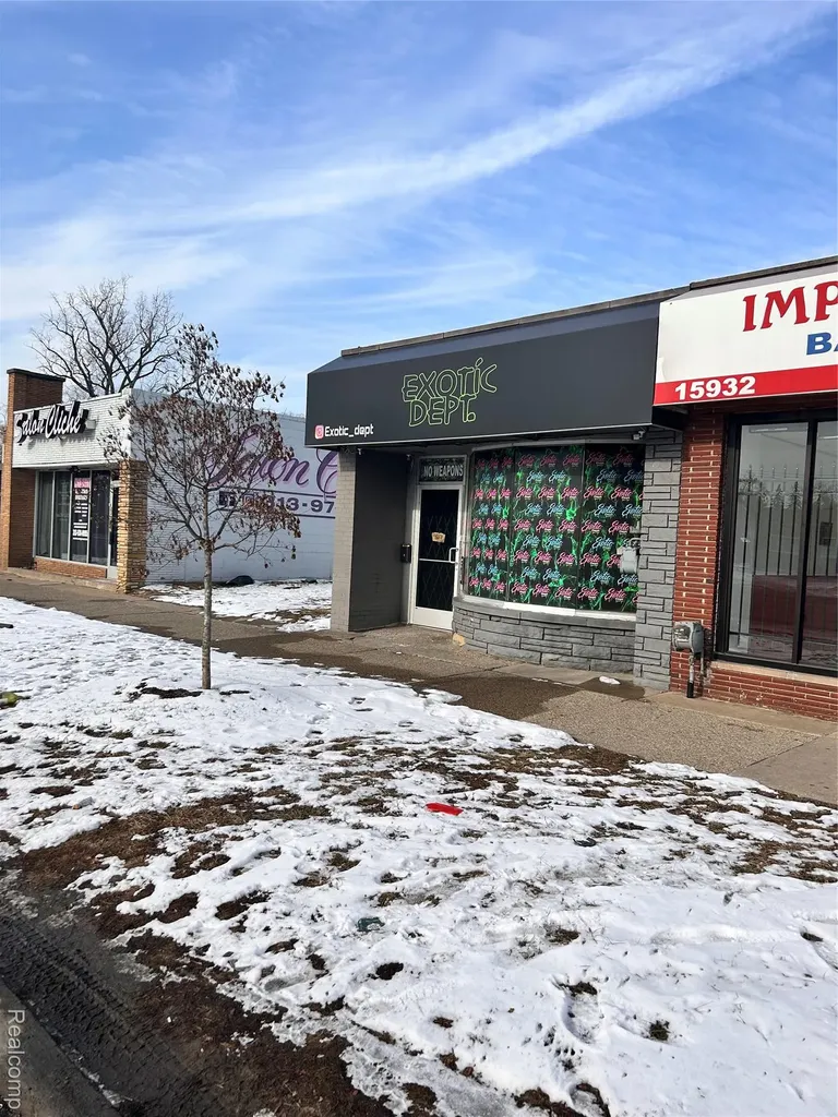 15934 W Mcnichols Road Detroit City MI 48235